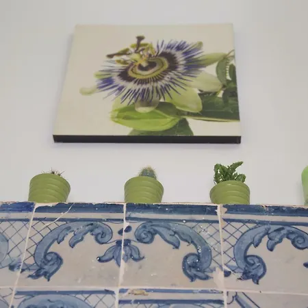 Tiles Of Sao Paulo Lägenhet Lisboa